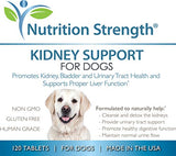 Nutrition Strength Kidney Support for Dogs - Renal, Bladder and Urinary Tract Health Supplement, Plus Immune and Digestive Support, with Organic Cranberry and Astragalus, 120 Chewable Tablets