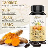 Liposomal Turmeric Curcumin Supplement 2000mg, 95% Standardized Curcuminoid Extract & Organic Root Powder with Piperine Black Pepper Fruit (15mg), 60 softgels, Non-GMO