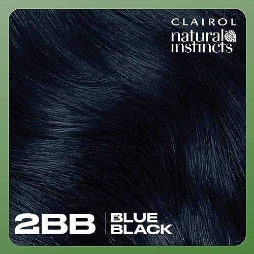 Clairol Natural Instincts Demi-Permanent Hair Dye, 2BB Blue Black Hair Color, Pack of 3