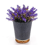 Essential Oil Diffuser, Lavender Plant Potted Aromatherapy Diffuser, 150ml Cold Mist humidifier, Super Quiet and Waterless auto Shut Off, ultrasonic Oil Diffuser for Home Office