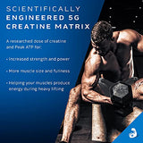 Creatine Powder | MuscleTech Cell-Tech Elite Creatine Powder | Post Workout Recovery Drink | Muscle Builder for Men & Women | Creatine HCl Supplement | ICY Berry Slushie (20 Servings)