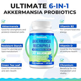 Akkermansia Muciniphila, 30 Billion AFU - Live Strain Akkermansia Probiotics for Women & Men, Enhances Gut Digestive Lining function, for GLP-1, Digestive, Gut, Immune & Overall Health, 1 Month Supply