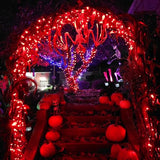 JMEXSUSS 500 LED Red Halloween Lights Outdoor, 173ft Halloween String Lights Plug in, Waterproof 8 Modes Red Christmas Lights for Tree Party Xmas Halloween Decorations