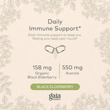 Gaia Herbs Black Elderberry - Daily Immune Support Supplement to Help Maintain Well-being- with Black Elderberries and Acerola Fruit for Antioxidant Support - 120 Vegan Capsules (60-Day Supply)