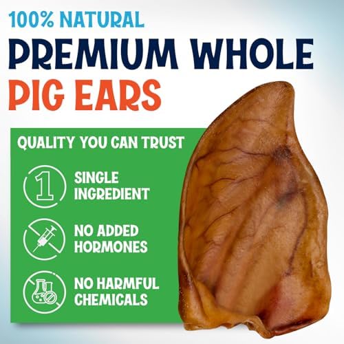 Whole Pig Ears for Dogs Large - 6 Pack Long Lasting Dog Chews – One Ingredient Delicious All Natural Flavor – Easy to Digest Dog Treats for Large Dogs - Great for Teeth and Gums