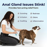 Vetnique Labs Glandex Medicated Dog Anal Gland Spray - Pain Relieving & Anti-Itch Formula to Soothe Inflamed Anal Glands in Dogs & Cats - Fast Acting Clinical Formula - Boot The Scoot (4oz)