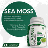 Natuspur Organic Irish Sea Moss 2315mg Bladderwrack and Burdock Root with Black Pepper Prebiotic Super Food for - Joint, Digestive Health, Thyroid, Healthy Skin, Gut & Immune Support – 120 Capsules