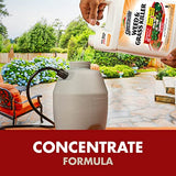 Spectracide Weed And Grass Killer Concentrate 1 Gallon, Use On Patios, Walkways And Driveways