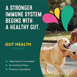 Happy Go Healthy Gut Health Supplements for Dogs | Prebiotic & Probiotic Food Topper with Ginger Root, Icelandic Seaweed, and Organic Kelp | All Breeds and Sizes | 60 Count