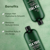 Botanic Hearth Shampoo and Conditioner Set - with 100% Pure Tea Tree Oil, for Itchy and Dry Scalp, Sulfate/Paraben Free - for Men and Women - 16 fl oz each