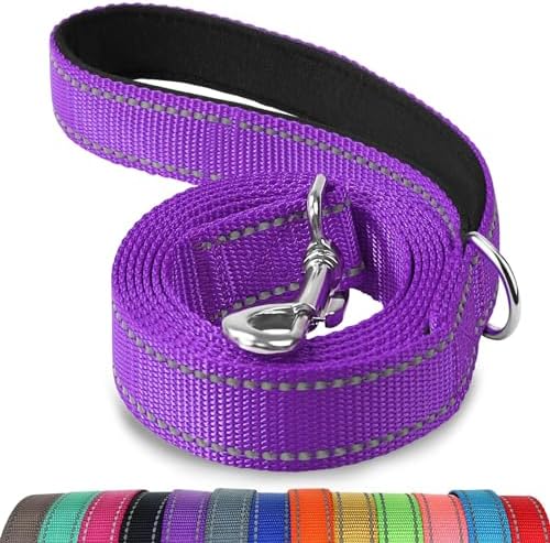 Joytale Double-Sided Reflective Dog Leash, 6 FT/5 FT/4 FT, Padded Handle Nylon Heavy Duty Leashes for Medium & Large Dogs Walking, Purple, 6FT