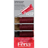 L'Oreal Paris Feria Multi-Faceted Shimmering Permanent Hair Color, R37 Blowout Burgundy (Deep Burgundy), Pack of 1, Hair Dye