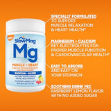 SlowMag® Magnesium and Calcium Drink Mix – Raspberry Lemon Flavor, 4 oz