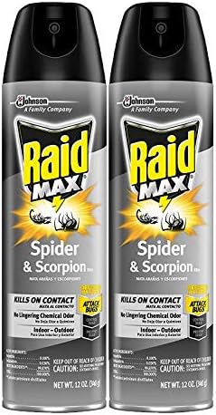 Raid Max Max Spider & Scorpion Killer - 12 oz - 2 pk