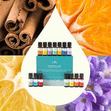 Plant Therapy 7 & 7 Essential Oils Set 7 Single Oils: Lavender, Peppermint & More, 7 Synergy Blends 100% Pure, Undiluted, Natural Aromatherapy, Therapeutic Grade 10 mL (1/3 oz)