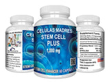 VITAMISAN 10 Bottles Celulas Madres Stem Cell Plus 1000 Mg Capsules