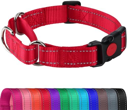 Joytale Martingale Collar for Dogs, Reflective Heavy Duty for Safety, Quick Release Buckle, Adjustable Nylon Collars for Large Dogs Walking Training, Red,L