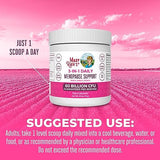 MaryRuth Organics 3-in-1 Menopause Supplement for Women, Hormonone Balance & Estrogen Supplement, 21 Probiotic Strains Prebiotic & Postbiotic, Vegan, Gluten Free| 0.5 Ounces