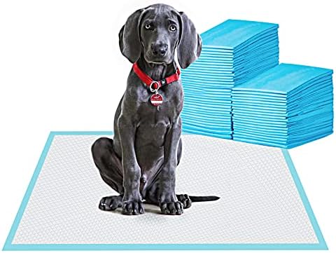 Large Pet Training and Puppy Pads Pee Pad for Dogs 24"x24"-80 Count Super Absorbent & Leak-Proof