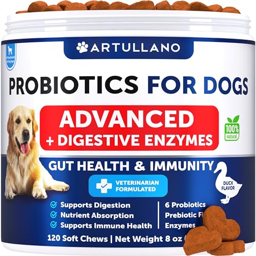 Probiotics for Dogs - Support Gut Health, Itchy Skin, Allergies, Immunity, Yeast Balance - Dog Probiotics and Digestive Enzymes with Prebiotics - Reduce Diarrhea, Gas - 120 Probiotic Chews for Dogs