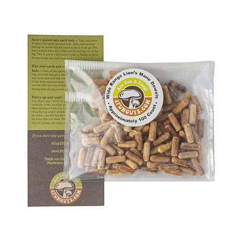 2funguys Lion's Mane Dowel Spawn 100 Count Mushroom Tooth Fungus Plug