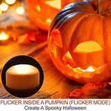 HOME MOST 2-Pack Halloween Pumpkin Lights with Remote/Timer - Orange Pumpkin Lights LED Battery Operated Decor - Halloween Jack-O-Lantern Outdoor Decorations -