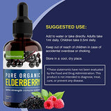 MaxImmunity Organic Elderberry Syrup, 60 Day Supply, Black Liquid Drops for Immune Support, Sambucus Elderberry Syrup - Liquid Extract Drops for Kids & Adults - Extra Strength (2 Pack)