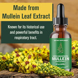 Generic 2 Pack Mullein Drops for Lungs - Mullein Leaf Extract for Lungs Support Lung Cleanse & Respiratory Function for Healthy Breathing - Natural Supplement, Tincture Drops | Non-GMO, Vegetarian