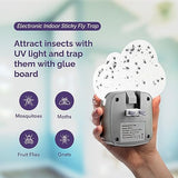 Sticky Fly Insect Trap for Indoor, Plug-in Blue Light Bug Trap, Odorless, Noiseless, Chemicaless, with 12 Packs of Sticky Glue Pads,Gray(2 Pack)