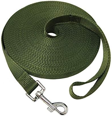 Nylon Training Dog Leash for Small Medium Large Dogs, 15ft 20ft 30ft 50ft Long Leash Dog/Puppy Lead for Obedience Recall Training, Camping (50ft, Green)