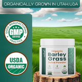 Organic Barley Grass Juice Powder– Utah Grown Raw Green Juice & Barley Grass Juice Extract for Detox- Complements Wheatgrass Juice- Made in USA to EverRaw® Standards with BioActive Dehydration™- 8 oz