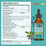 Berberine HCl Drops Supplement 3000 mg - Liposomal Berberine HCl Liquid - AMPK Activator with Turmeric, Ceylon Cinnamon, 12 Natural Ingredients - 2 fl oz