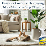 Eliminates Urine Odors – Controls Cat, Dog, Pet & Human Smells from Carpet, Furniture, Mattresses, Grout and Pet Bedding & Concrete. Biodegradable Enzymes 32 Oz. Spray