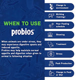 Probios Bovine One Oral Gel for Ruminants Tube, 60cc