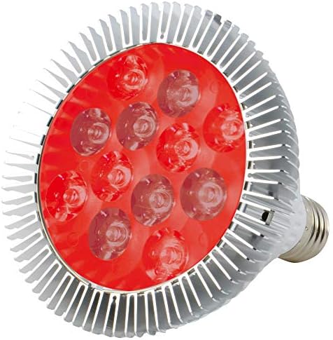 LED Light Bulb for Red Light Therapy, 660nm Deep Red and 850nm Near Infrared Combo, 24W Class