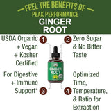 USDA Organic Ginger Root Extract Liquid Drops. Zero Sugar, Non Bitter Vegan Ginger Oil Supplement For Immune, Digestive + Gut Support. High Bioavailability, Gluten Free For Women and Men. Take Orally