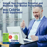 Cebria Brain Supplement for Men, Women & Seniors – Nootropic Safe and Effective Memory Supplement for Retention, Recall & Age-Related Memory Loss (30 Count)
