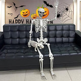 Lodou 5.4Ft Posable Life Size Human Adult Skeletons Plastic Human Bones with Movable Joints for Halloween Decoration