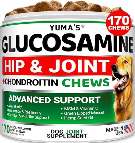 Glucosamine for Dogs - Hip and Joint Supplement for Dogs - 170 Ct - Glucosamine Chondroitin Chews - Joint Pain Relief Supplement with MSM - Advanced Health - Mobility Support - Made in USA