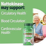 Yuve Nattokinase 2000 FU, Nattokinase Supplement - Natokinase Enzyme from Natto Extract 4000 FU, Sugar-Free, Vitamin K Free - 60 Pills (Pack of 2)