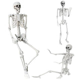 5.4Ft/165cm Halloween Skeleton Full Body Life Size Human Bones with Movable Joints for Indoor Outdoor Halloween Props Decorations