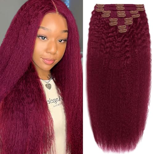 Clip in Hair Extensions Real Human Hair, 99J Burgundy 16inch 110g Long Kinky Straight Hair Extensions Real Human Hair Clip on Hair Extensions 8pcs Double Weft Handmade Per Set with 18clips