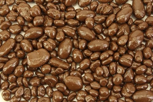 Planet Sweets Sugar Free Milk Chocolate Bridge Mix - 8 Ounce - Raisins Almonds Peanuts Pecans Chocolate Covered Nuts Crunchy Snack Treat Bulk Candy