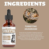 Turkey Tail Mushroom for Dogs | Helps to Boost the Immune System, is a Healthy Prebiotic, & Much More | Turkey Tail for Dogs | Mushrooms for Dogs | Dog Mushroom Supplements | 1 fl oz