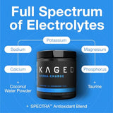 Kaged Electrolyte Hydration Powder | Strawberry Yuzu | Sports Drink for Men and Women | Pre, Post, Intra Workout Supplement | 60 Servings