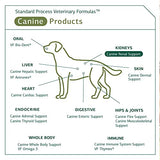 Standard Process - Canine Renal Support - Kidney Health for Dogs - 30 Grams