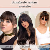 NAYOO Clip in Bangs 100% Real Human Bangs Hair Extensions French Bangs Clip on Hair Bangs for Women Fringe with Temples Hairpieces Curved Bangs for Daily Wear（Natural Black）