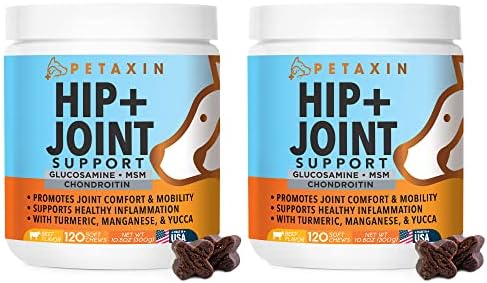 Glucosamine for Dogs - Advanced Hip and Joint Supplement for Dogs - Dog Joint Supplement for Joint Pain Relief and Mobility - Dog Glucosamine with Chondroitin, MSM, Turmeric - 240 Soft Chews