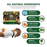 Ruff Greens - Vitamin & Mineral Supplement, Nutritional Support for Dogs, Probiotics for Dogs, Dog Vitamin Powder, Nutritionally Pure Superfood for Pets, 13.8 Ounce