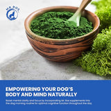 Ditch The Fish! Mr. Ros: Nutrient-Rich Marine Algae, Boosts Coat & Joints